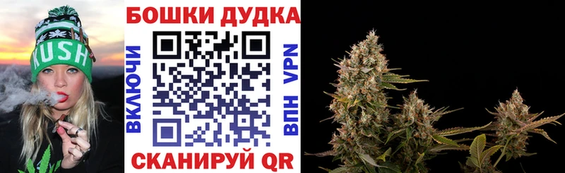 купить  цена  Саратов  Бошки марихуана марихуана 